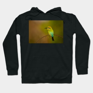 Rainbow Bee Eater, Northern Territory Hoodie